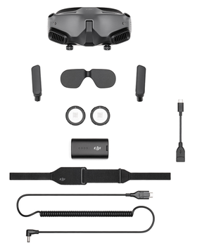 FPV окуляри DJI Goggles 2 (CP.FP.00000056.01) HRBV-000414 фото